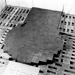 Level 7
