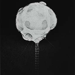 Atomic Bomb Explosion