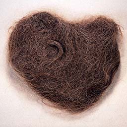 Hair