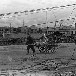 Survivors with a cart