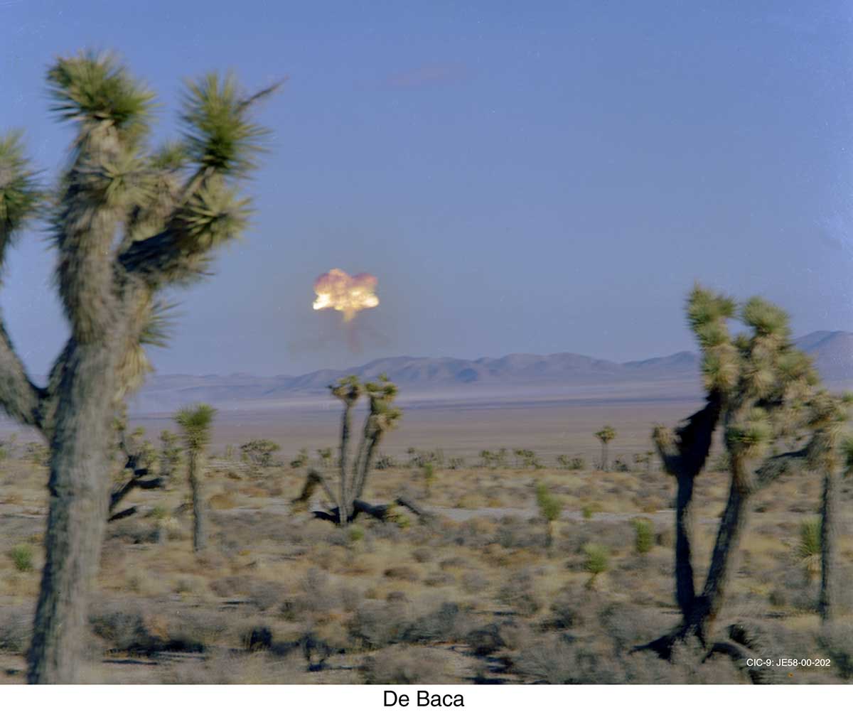 Mushroom Cloud