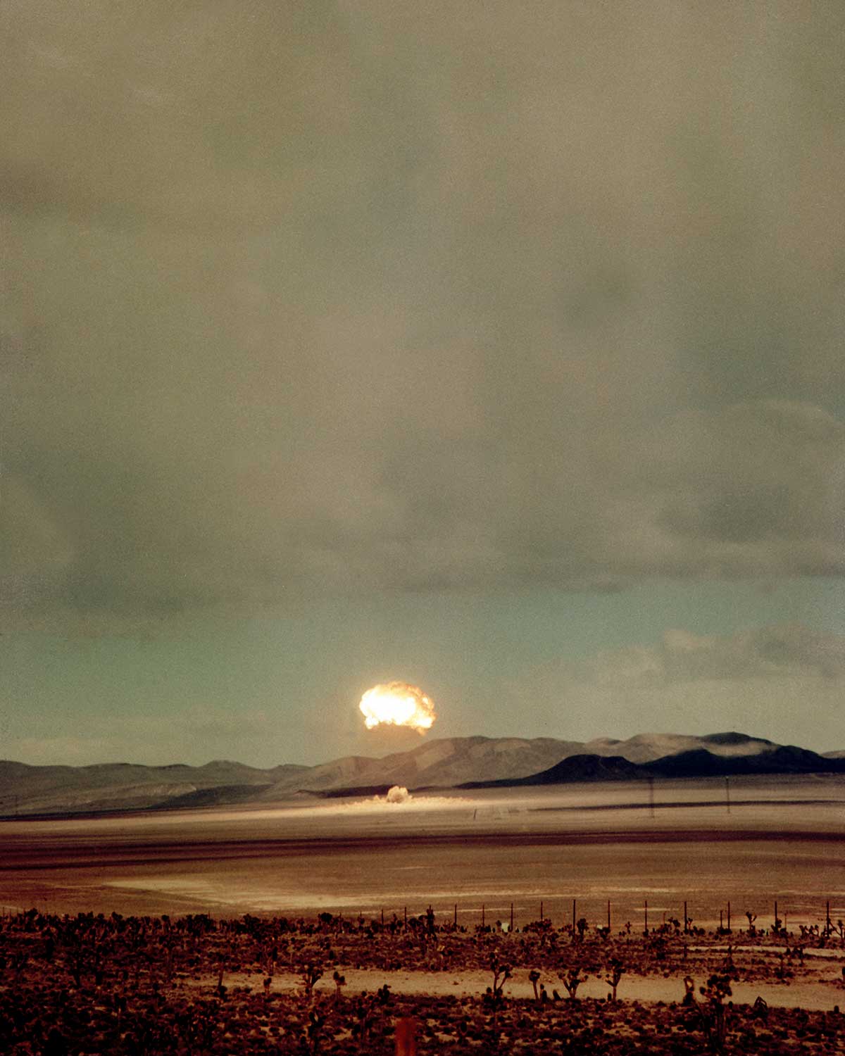 Mushroom Cloud