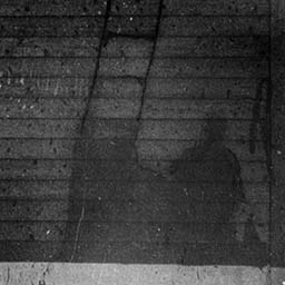Human Shadow